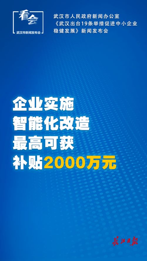 武漢出臺中小企業扶持新政 社保延長、稅費減免與技術推廣齊發力