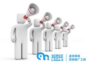 拉米拉 如何利用網(wǎng)絡技術(shù)高效推廣公司產(chǎn)品與品牌